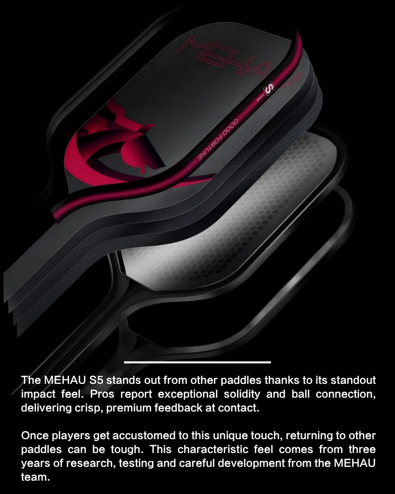 Exploded construction view of the MEHAU S5 paddle showing its layered core